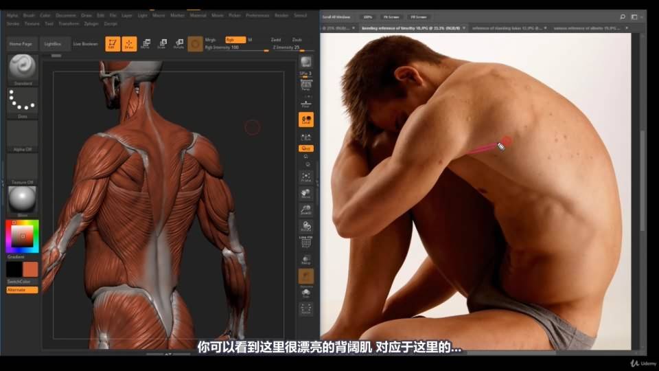 【R站译制】中文字幕 《藝用人體解剖學》人物角色绘画、建模、雕刻必备硬核姿势 Human Anatomy for Artists 视频教程 - R站|学习使我快乐！ - 39