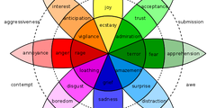 情感设计: 普鲁契克情感色轮 Plutchik's Wheel of Emotions 色彩和情感设计 为用户提供更好的体验
