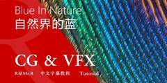 【R站译制】中文字幕 CG&VFX 《为何蓝色在自然界中如此罕见》Blue In Nature 视频教程 免费观看